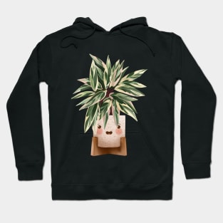 Cute Plant Illustration, Calathea Triostar Illustration 3 Hoodie